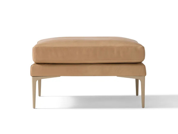  Amura Segno 