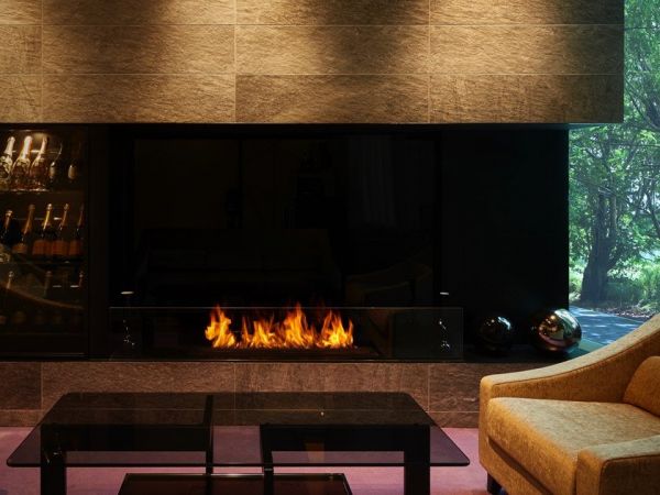  Ecosmart Fire Xl1200 