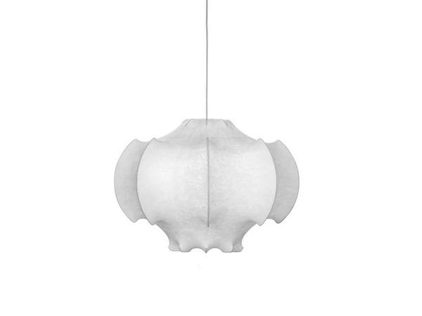  Flos Viscontea 