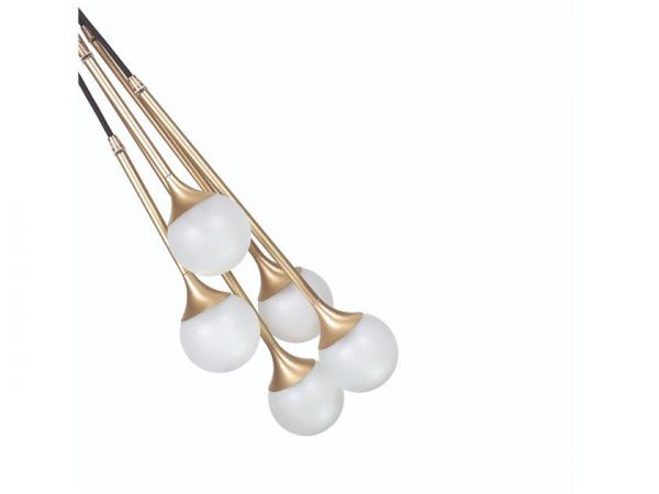  Intueri Light Bullarum Ss-5 