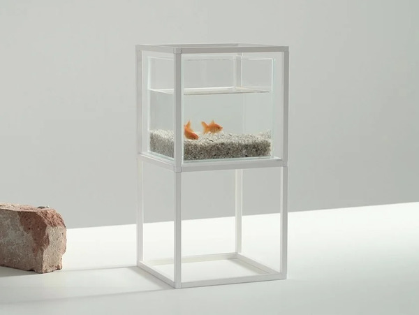  Ipot Ipot Aquarium 