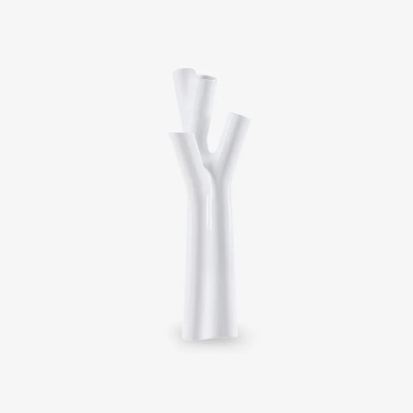  Ligne Roset Roseau 