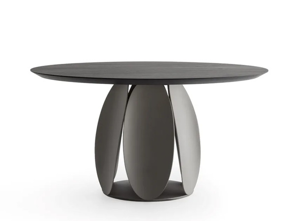  Morica Design Tulipano 