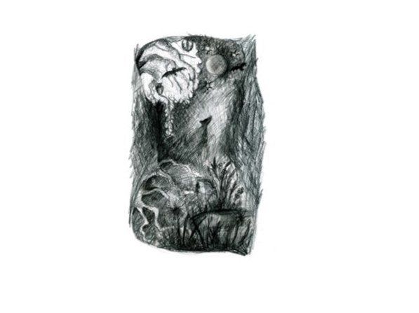  Moroso Dark Forest 