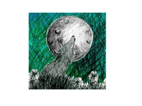  Moroso Lovely Wolf 