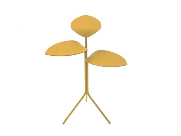  Moroso Morning Glory 