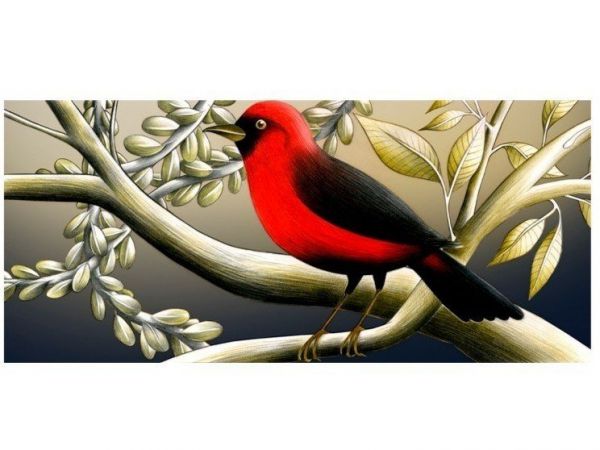  Moroso Red Pat 