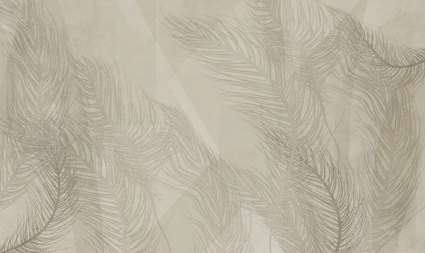  N.o.w. Edizioni Concrete  / Soft Poetry 