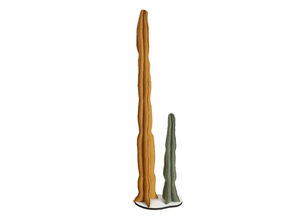 Ogo Cactus 