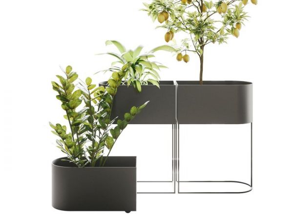  Ronda Design Wink 