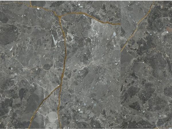  Salvatori Lost Stones Gris Du Marais® 