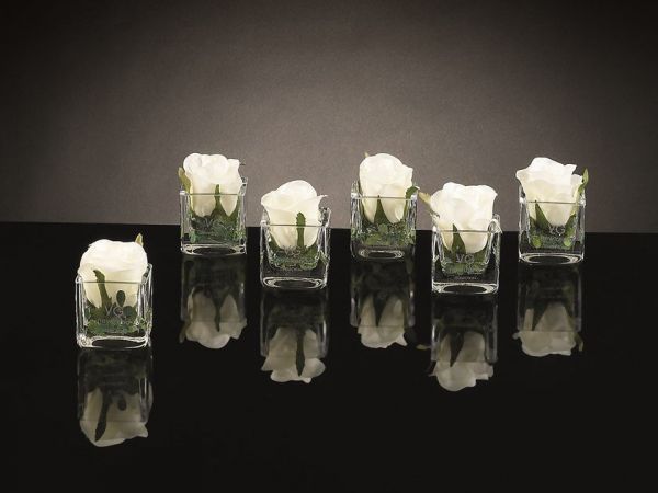  Vgnewtrend Eternity Cubo Rosebud 