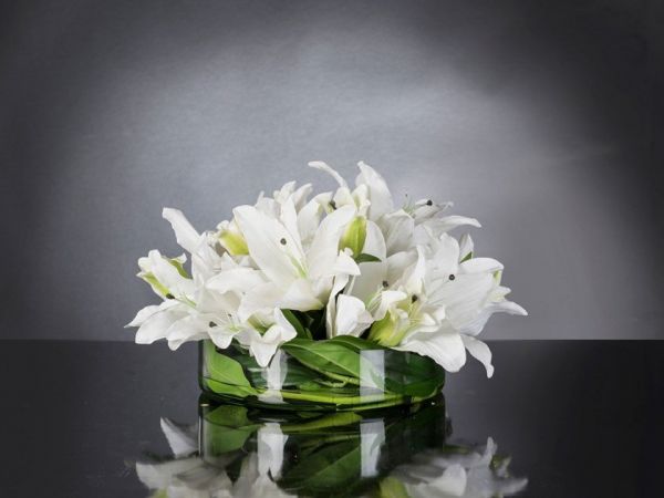  Vgnewtrend Eternity Round Lilium 