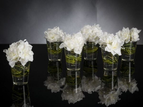  Vgnewtrend Mini Delphinium 
