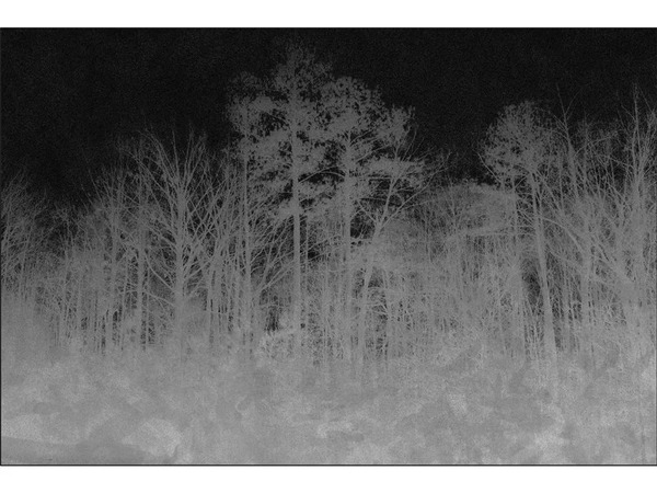  Vidame Editions Blairwitch 