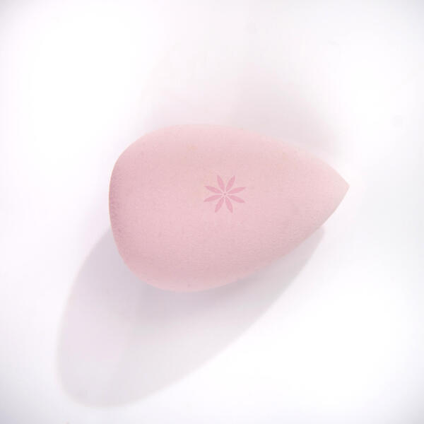  Brushworks Complexion Sponge 