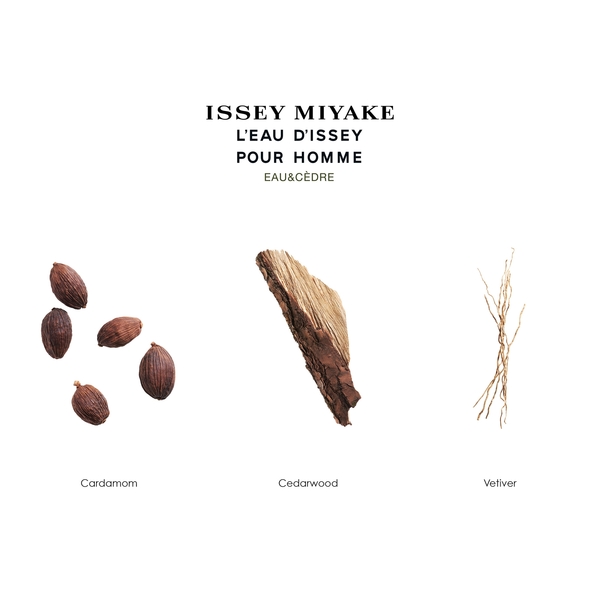  Issey Miyake L'eau D'issey Eau Et Cèdre Eau De Toilette Intense 100 ml 
