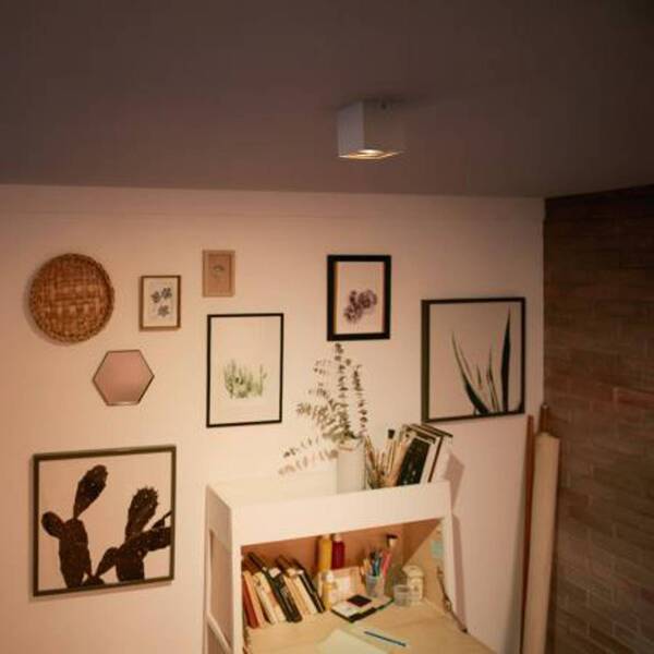  Philips Philips Myliving Spot Led Box à 1 Lampe Blanc 