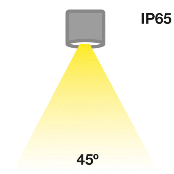  The Light Group The Light Group Slc Minione Fixed Led-downlight Ip65 Noir 930 